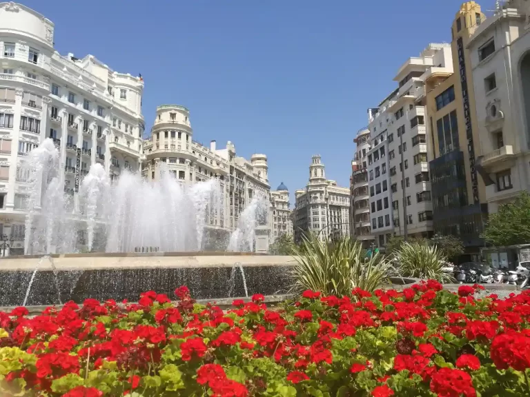 consuldo-español